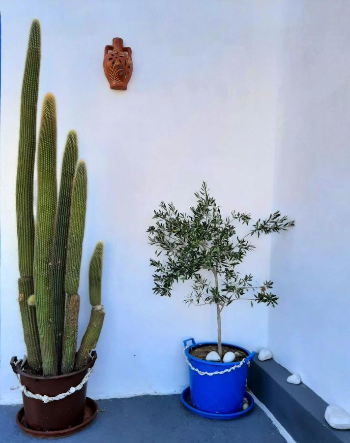 George'S Place Chora  Bagian luar foto